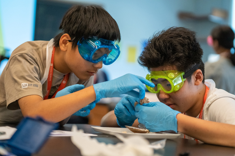 two students work on project