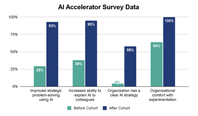 AI Accelerator Survey Data 2025