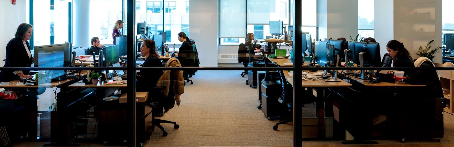 Working at our foundation.