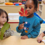 Three young children sit at table playing with leaves